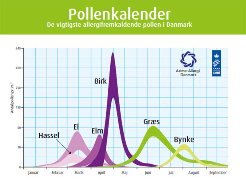 Pollenkalender og pollental Danmark