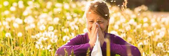Høfeber dækker over pollenallergi, husstøvmideallergi, kæledyrsallergi og skimmelsvampeallergi